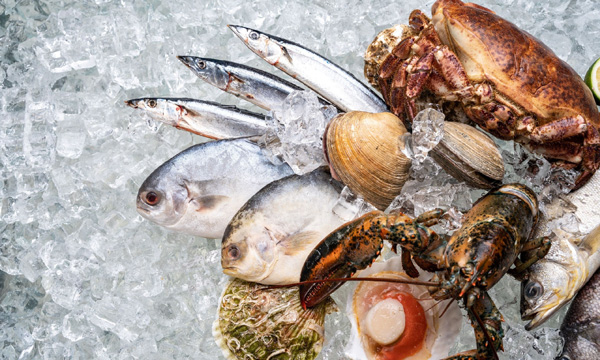 China's Agricultural Products Import and Export Situation (January-June 2025)